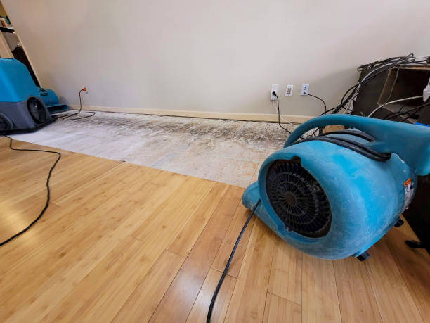 Professional Water Damage Repair technician working in Aliso Viejo, CA